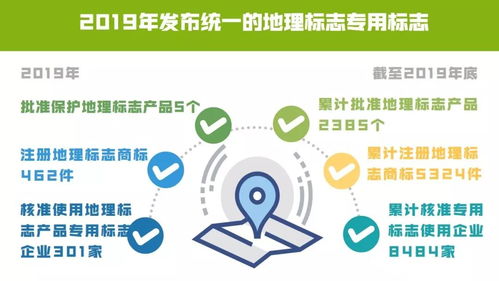 2019年知识产权主要数据 稳步增长与高质量发展并行
